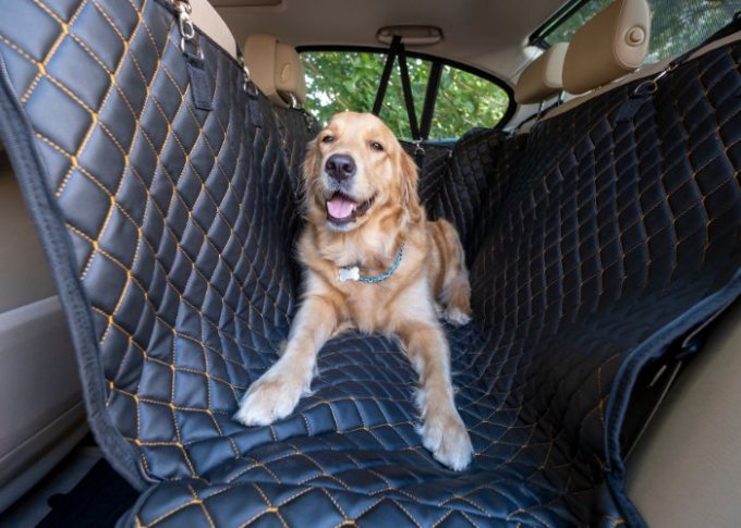 Pies w pokrowcu typu hamak na tylnym siedzeniu samochodu
